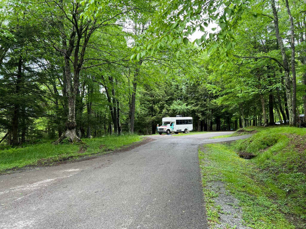 Canaan Valley State Park,&nbsp;WV