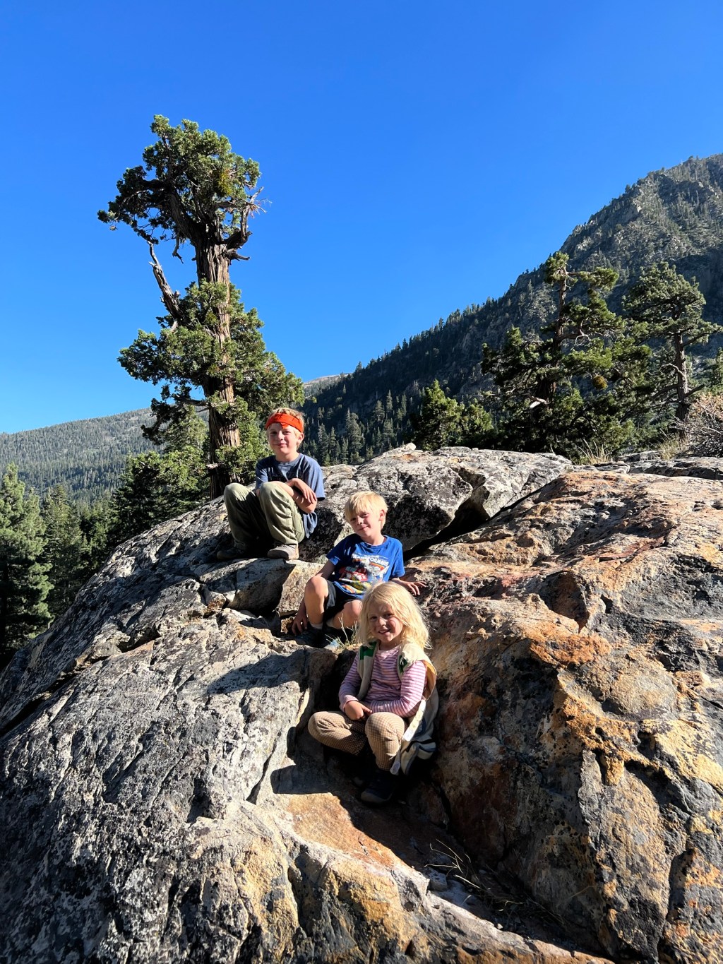 Inyo National Forest,&nbsp;CA