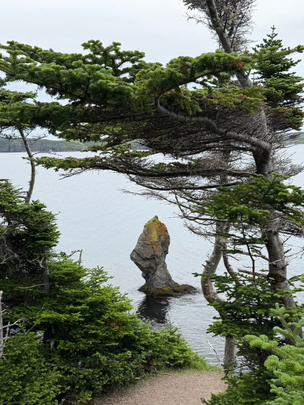Trinity, Newfoundland